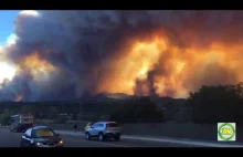 Catastrophic Fires in California