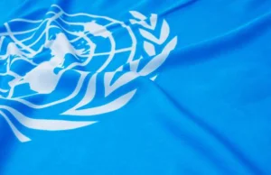 Organizacja Narodów Zjednoczonych chroniła pedofilów