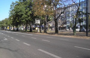 Aktywiści chcą zwężenia kolejnej ulicy w Warszawie. Na przekór faktom
