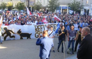 Feministki nie wezmą udziału w "Manifestacji w obronie kobiet" KORWINa