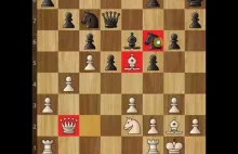 Świetna analiza partii szachów Janusz Korwin-Mikke vs szachista Rafał Bukowski