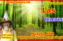 �Muzyka z Jasnej Strony Mocy pt. "Las" ��TELEDYSK - Wykonanie i kompozycja...