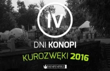 IV Dni Konopi w Kurozwękach - wideorelacja