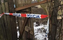 Makabra w Sosnowcu: W szopie były martwe zwierzęta DRASTYCZNE ZDJĘCIA