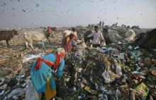 Indie zakazują plastikowych przedmiotów jednorazowego użytku