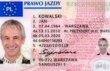Plaga fałszywych polskich praw jazdy w Holandii