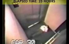 Facet utknął w windzie przez 41 godzin