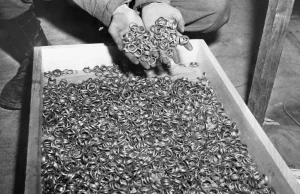 Obrączki, które zdjęto więźniom przed holokaustem