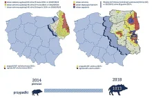 NIK o realizacji programu bioasekuracji jako elementu zwalczania ASF