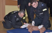 Jak reanimować psa?Policjanci uczą się ratować swoich czworonożnych partnerów