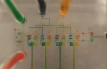 Oscylator mikrofluidyczny