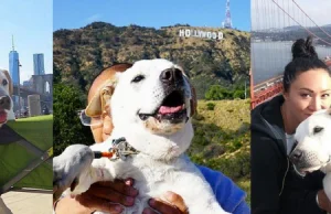 Mężczyzna zabrał swojego chorego psa na wycieczkę dookoła Ameryki