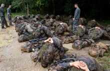 Morderczy trening polskich komandosów w dżungli Gujany Francuskiej