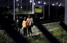 W Calais jest coraz gorzej - imigranci niszczą samochody a Eurotunnel stoi.