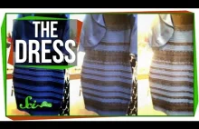 The Science of That Dress