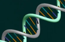 Naukowcy zsekwencjonowali DNA 115-letniej kobiety