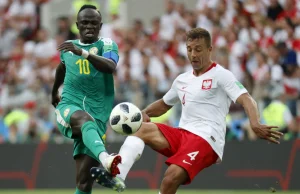 Mundial 2018. Polska - Senegal. Polski kibic przewidział wynik, a nawet...