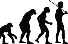 5 mitów na temat ewolucji [ENG]