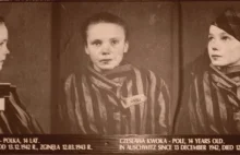 W Żywcu zmarł Wilhelm Brasse. Fotografował więźniów w Auschwitz