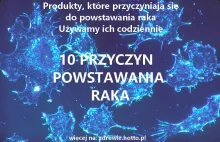 10 PRZYCZYN RAKA I NIE DZIWMY SIĘ, ŻE CHORUJEMY. CZAS DOKONAĆ ZMIAN