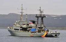 Rosja- zwierzęta zatopiły łódź desantową Floty Północnej