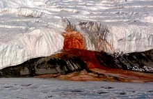 Antarktyda: czym jest "krew lodowca"? Naukowcy odkywają tajemnicę sprzed...