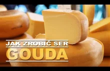 Jak zrobić ser Gouda