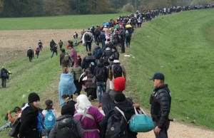Nowy kryzys migracyjny. Uzbrojeni imigranci chcą wkroczyć do Chorwacji