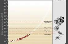 Technologiczna osobliwość