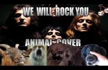 Queen - We Will Rock You (Animal Cover)