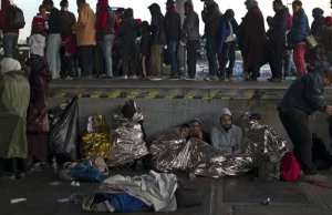 Austria: MSW: ok. 5 tys. migrantów odesłano do innych krajów UE