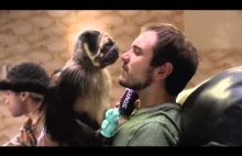 Mountain Dew | Puppy Monkey Baby - reklama na superbowl