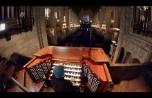 Pipe Organ