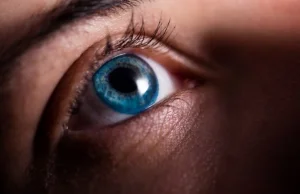 Nowy algorytm Google zdiagnozuje choroby serca na podstawie skanu dna oka