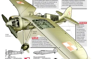 PZL P.11 Powrót polskiego płatowca