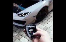 LAMBORGHINI WITH A FEATURE OF CHANGING...