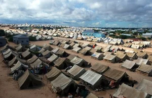 Nigeria: 1,2 tys. zmarłych w obozie dla uchodźców