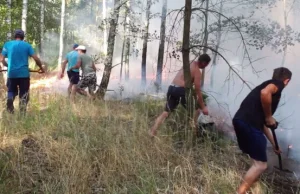 Chwycili za łopaty oraz gałęzie i zaczęli gasić pożar przed przyjazdem strażaków