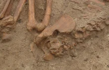 Szkielet z wczesnej epoki żelaza znaleziony w Wejherowie