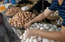 Kambodża z jajem (azjatyckie sposoby na jajka)
