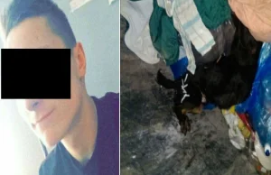 Przedłużono areszt dla 19-latkowi, który znęcał się nad psem.