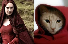 If Game of Thrones Characters Were Cats