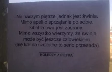 Savoir vivre w biurowym WC, czyli świniom mówimy stanowcze: "NIE!"