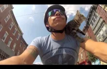 Jego kot jeździ na rowerze lepiej od Ciebie