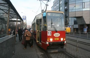 Kopnięta kolanem w brzuch przez kanarów. Takie rzeczy w Sosnowcu