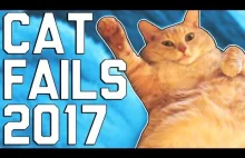 Śmieszne filmiki z kotami || FailArmy