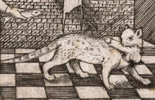 Galeria brzydkich kotków namalowanych w czasach średniowiecza