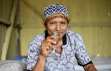 Peruwiański szaman opowiada o ayahuasce i głupich turystach