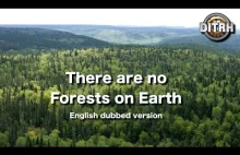 There are no forests on earth! (English needed)