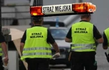 Łapanka straży miejskiej